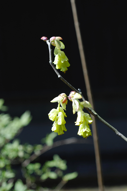 image0162