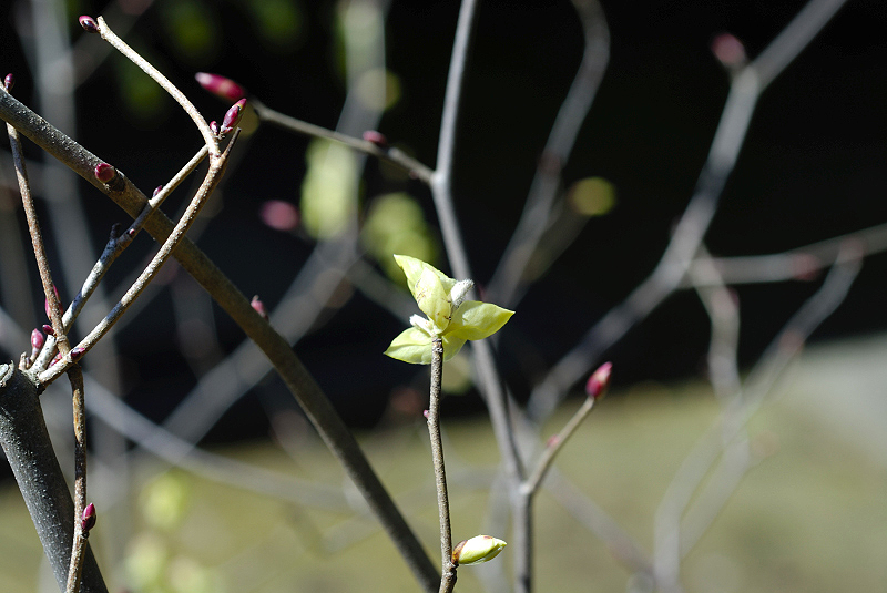 image0165