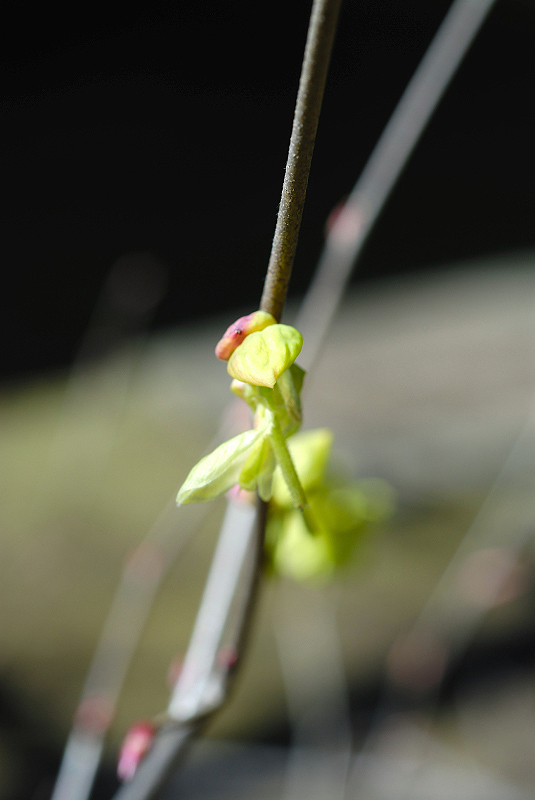 image0166