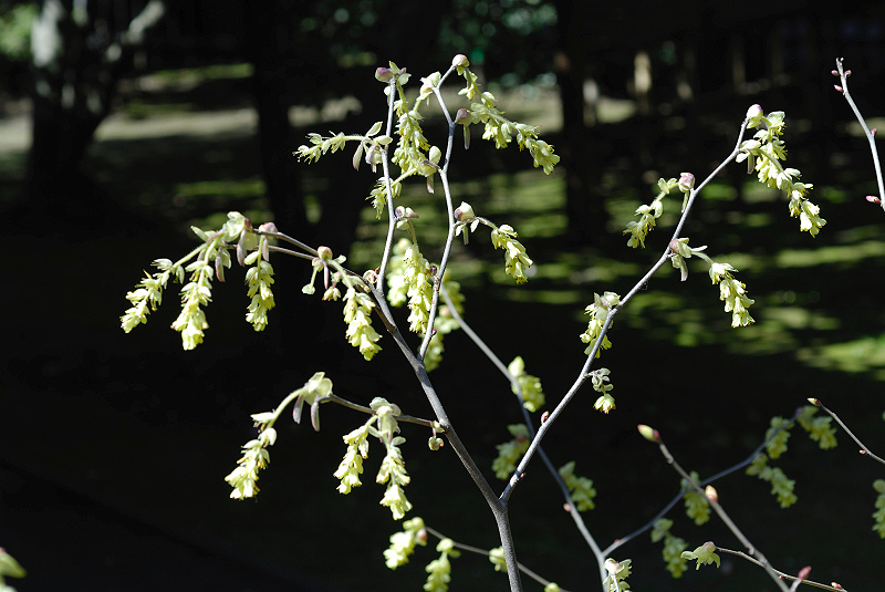 image0168