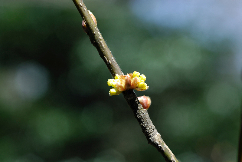 image0173