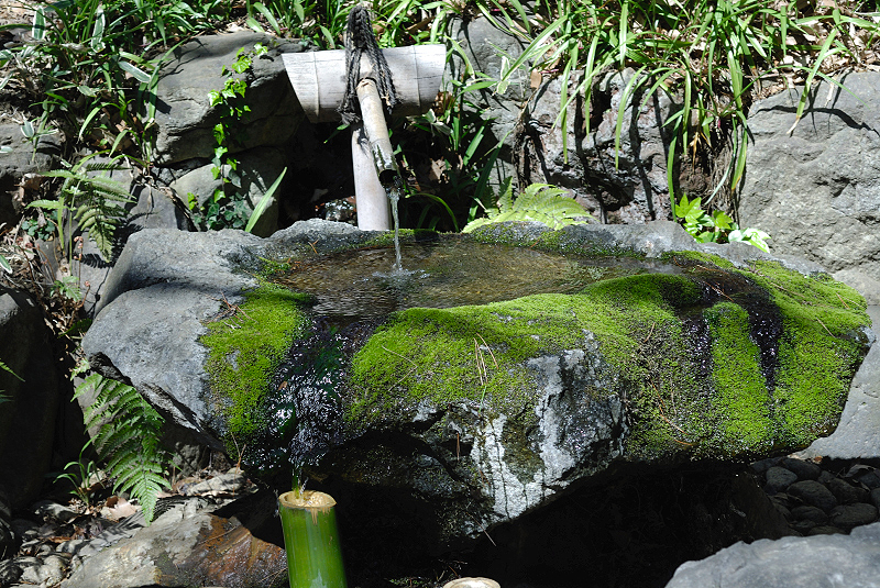 image0175