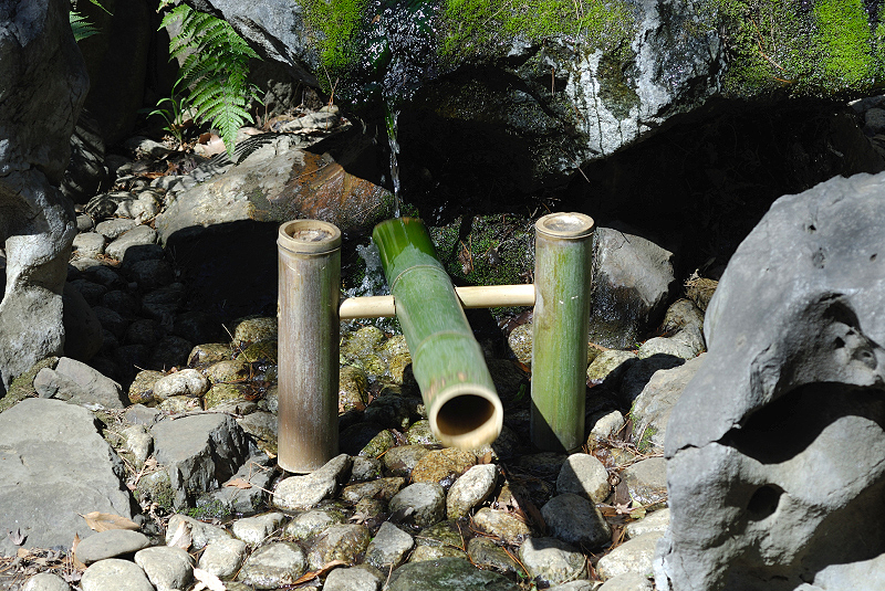 image0176