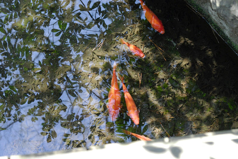 image0177