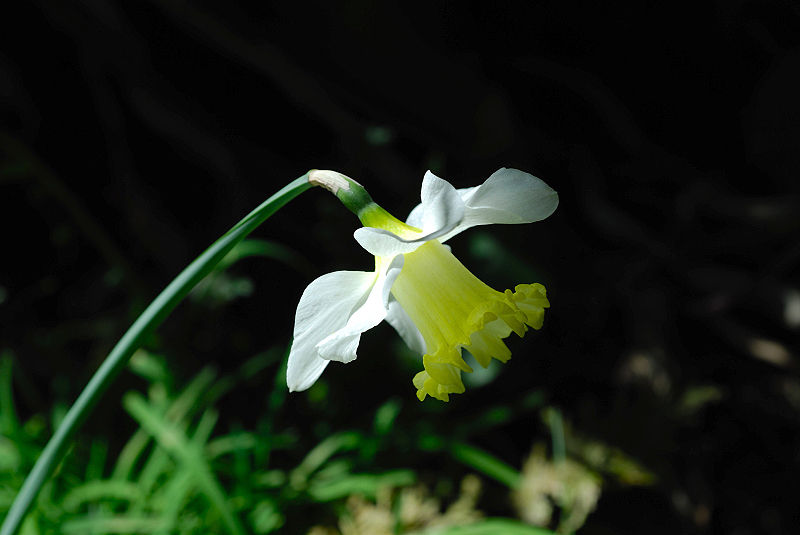 image0178