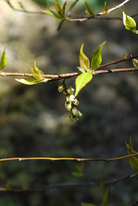 image0179