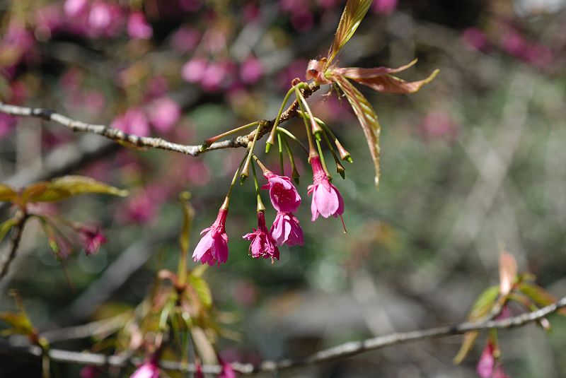 image0180