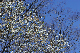image0120