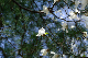 image0128