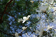 image0129