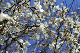 image0130