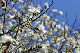 image0131