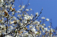 image0132