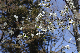 image0133
