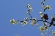 image0134