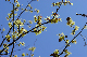 image0135