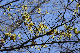 image0137
