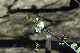image0138