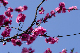 image0139