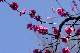 image0140