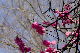 image0142