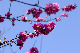 image0143
