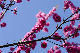 image0144