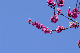 image0145
