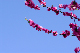 image0146