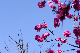 image0147