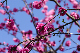 image0148