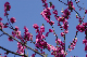 image0149