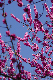 image0150