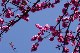 image0151