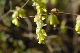 image0152