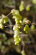 image0153