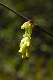 image0154