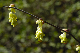 image0156