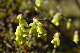image0157