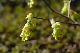 image0158