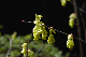 image0159
