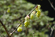 image0160