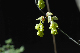 image0161