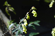 image0163