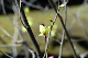 image0164