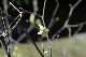 image0165