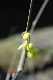 image0166