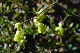 image0167