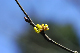 image0170