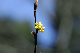 image0171